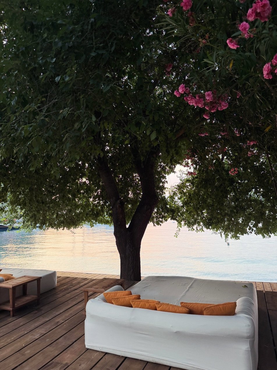 Göcek'te deniz kenarında ağaç altı